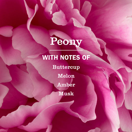 Peony Liquid Hand Soap & Refill Set