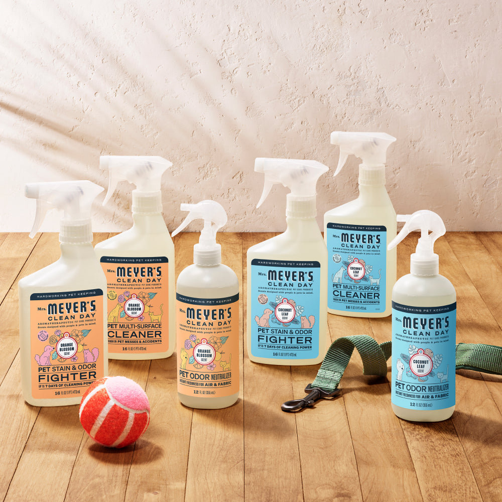 Orange Blossom Pet Stain & Odor Fighter