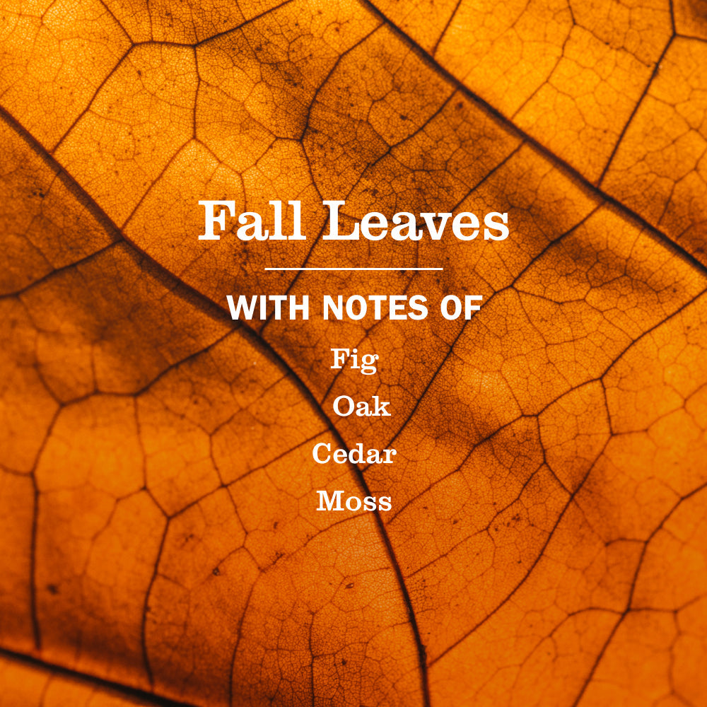 Fall Leaves Dish Soap