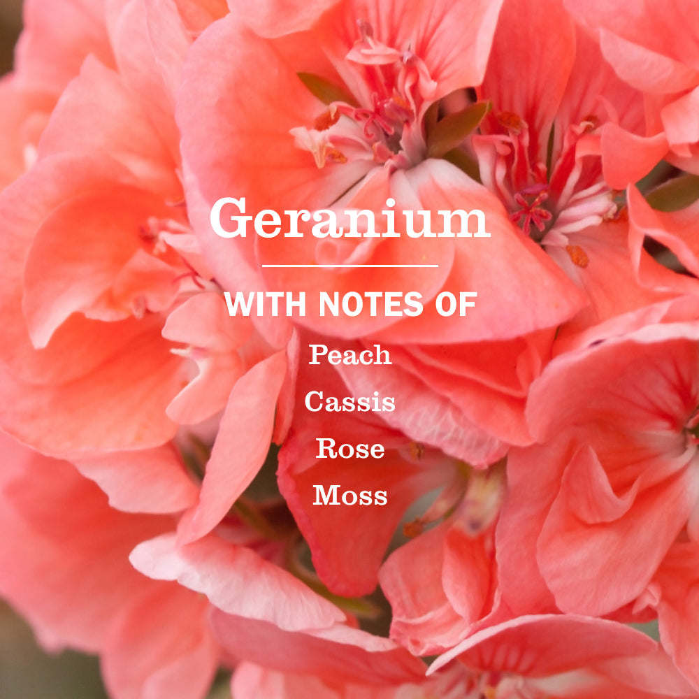 Geranium Multi-Surface Concentrate