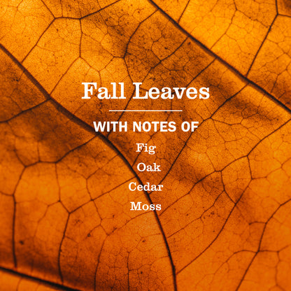 Fall Leaves Multi-Surface Everyday Cleaner 3-count Bundle
