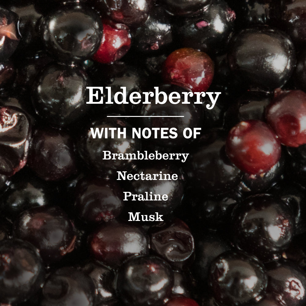 Elderberry Dish Soap 3-count Bundle