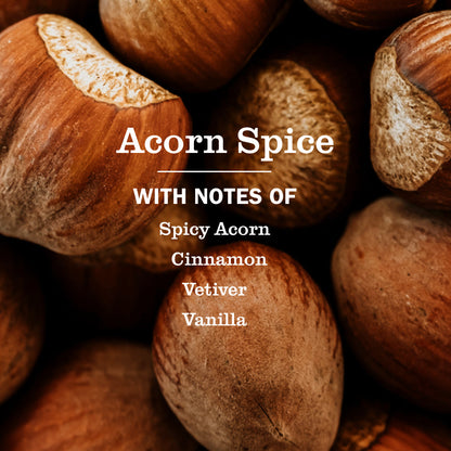 Acorn Spice Kitchen Basics Set