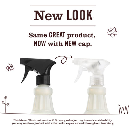 Acorn Spice Multi-Surface Everyday Cleaner 3-count Bundle