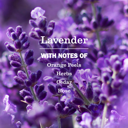 Lavender Glass Cleaner