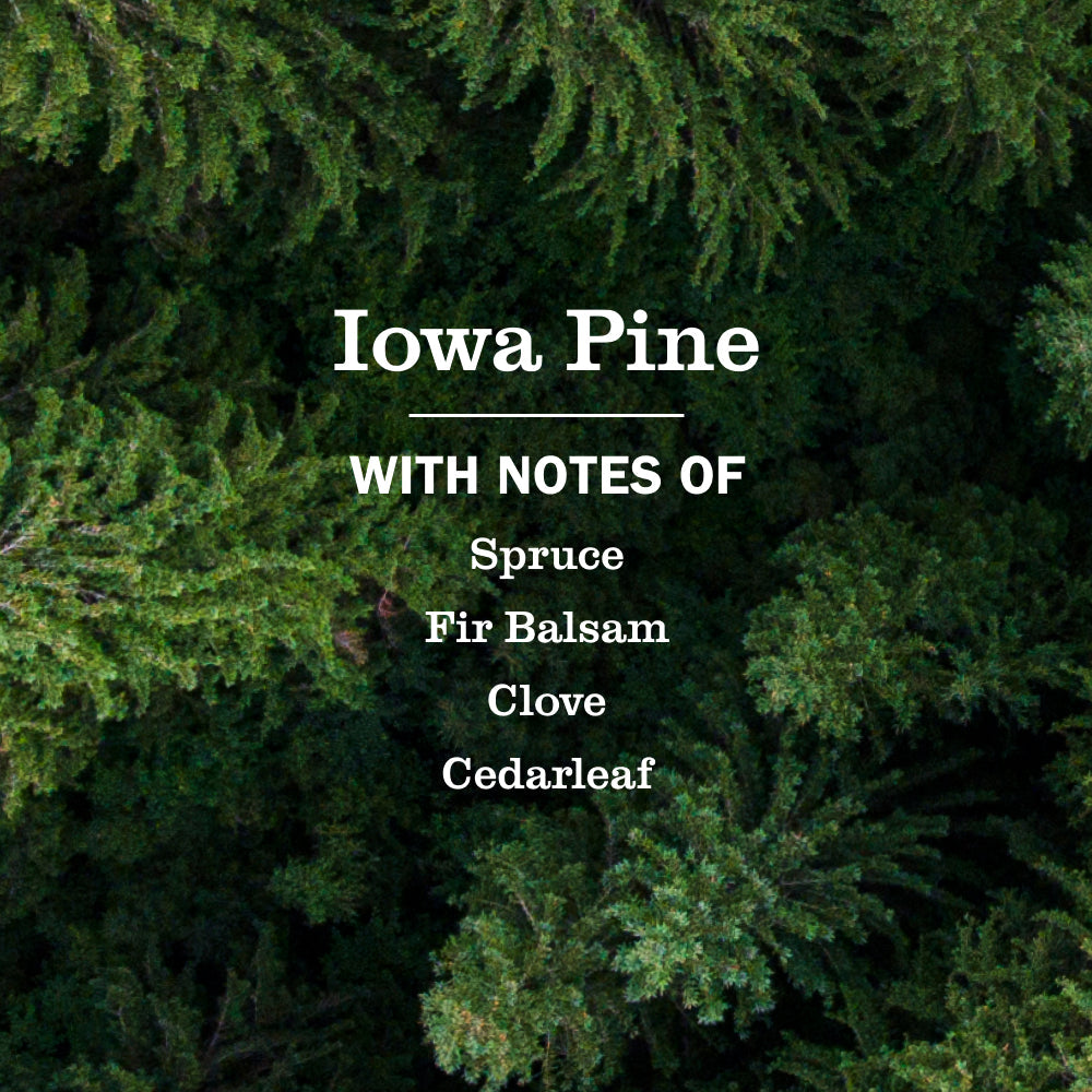 Iowa Pine Liquid Hand Soap & Refill Set