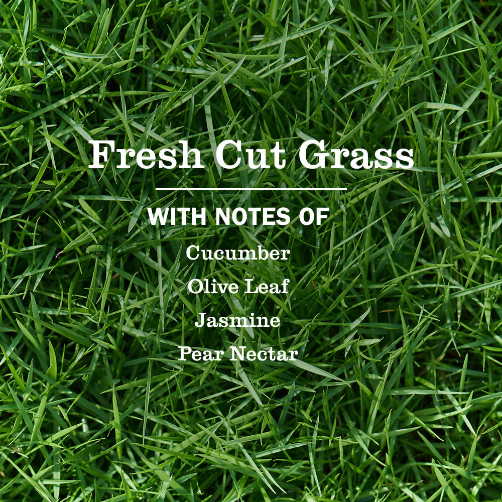 Fresh Cut Grass Multi-Surface Everyday Cleaner 3-count Bundle