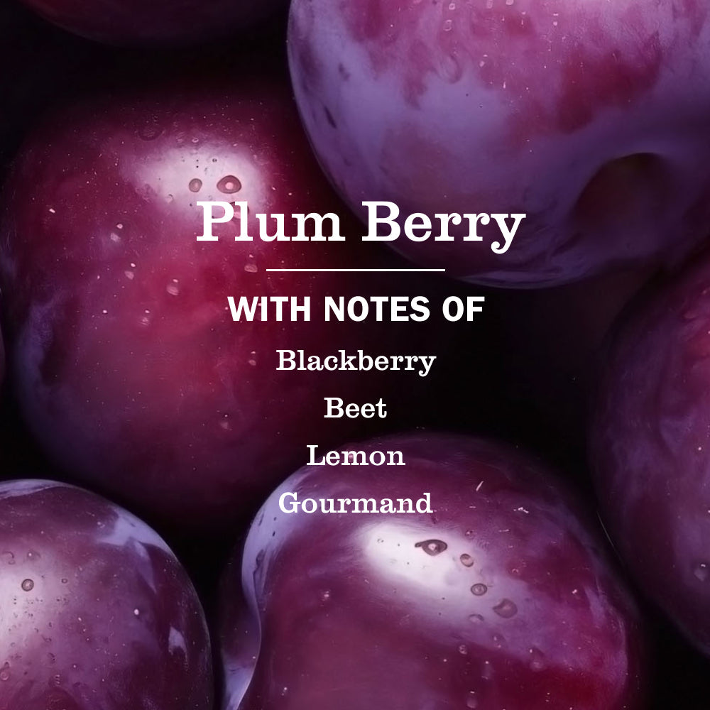 Plum Berry Liquid Hand Soap & Refill Set